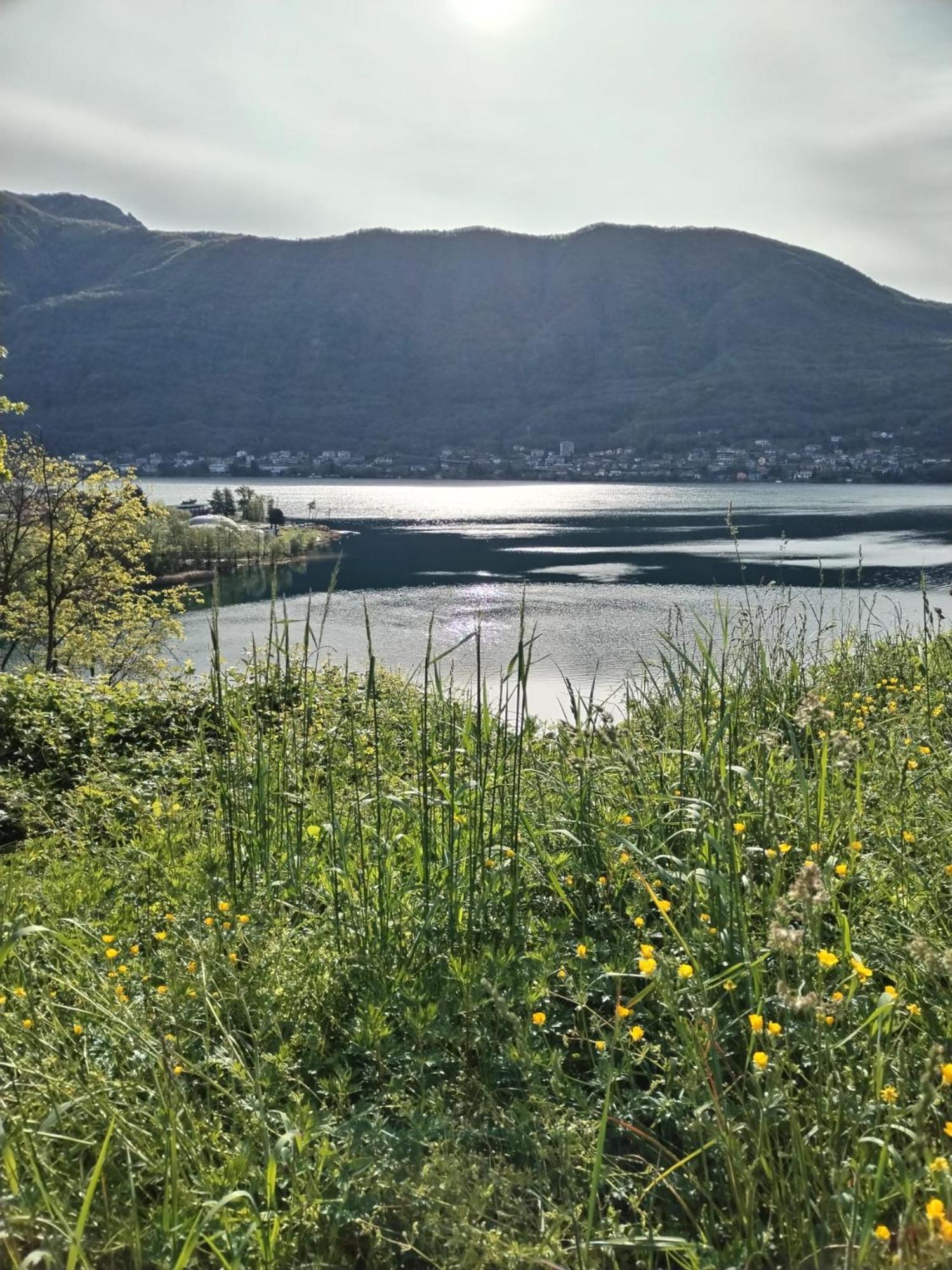 Un Balcone Sul Lago オメーニャ エクステリア 写真