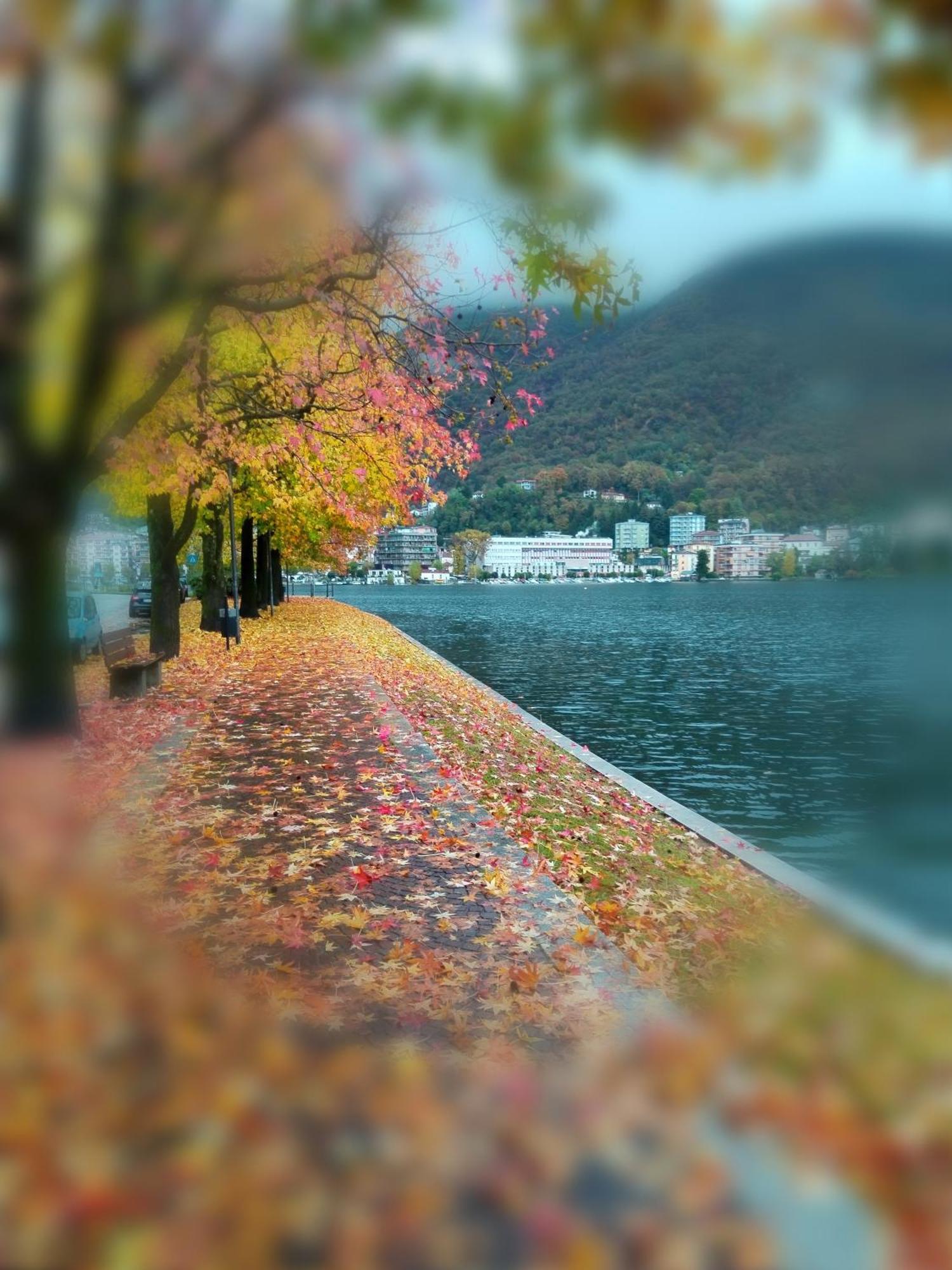 Un Balcone Sul Lago オメーニャ エクステリア 写真
