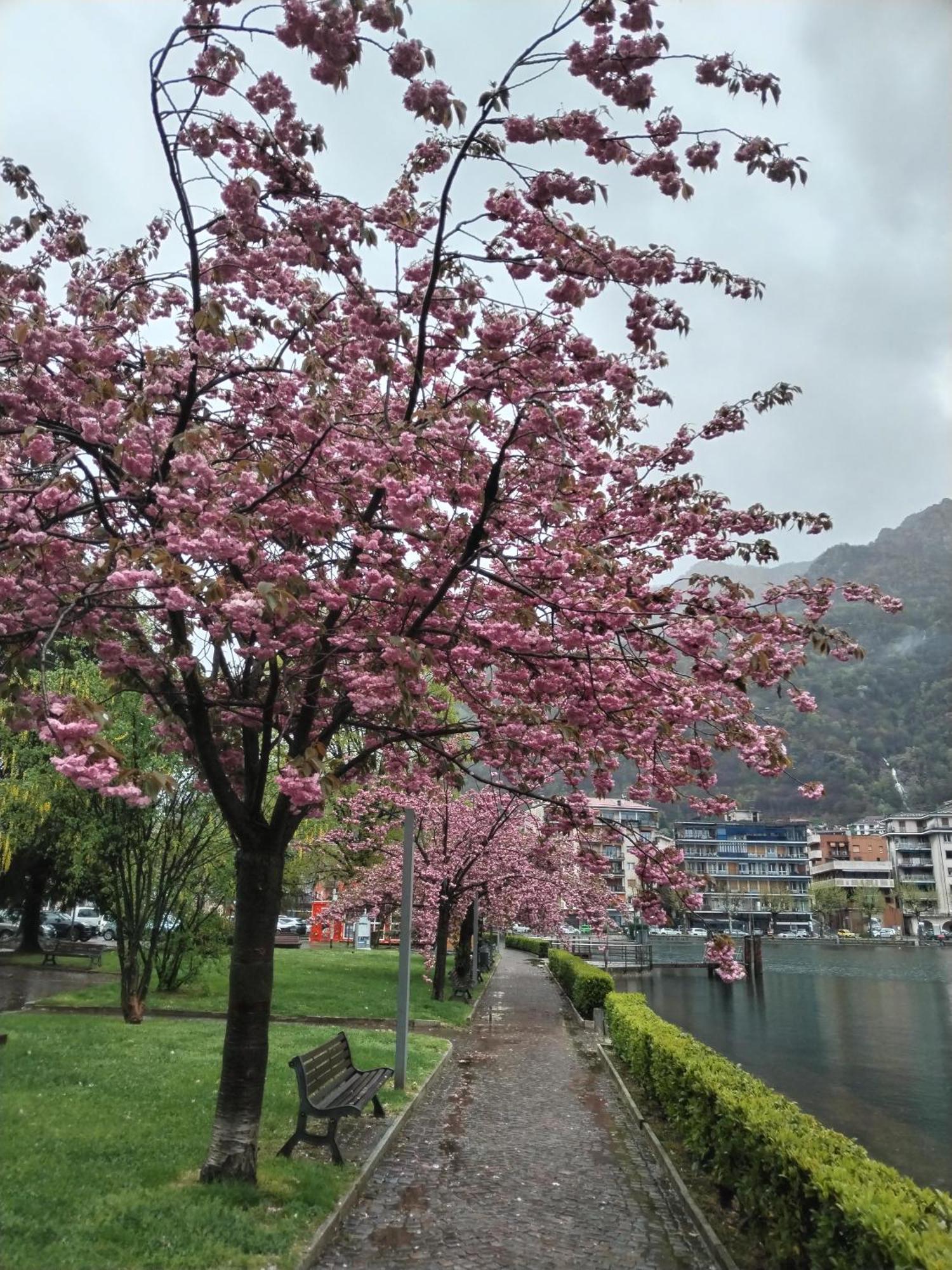 Un Balcone Sul Lago オメーニャ エクステリア 写真