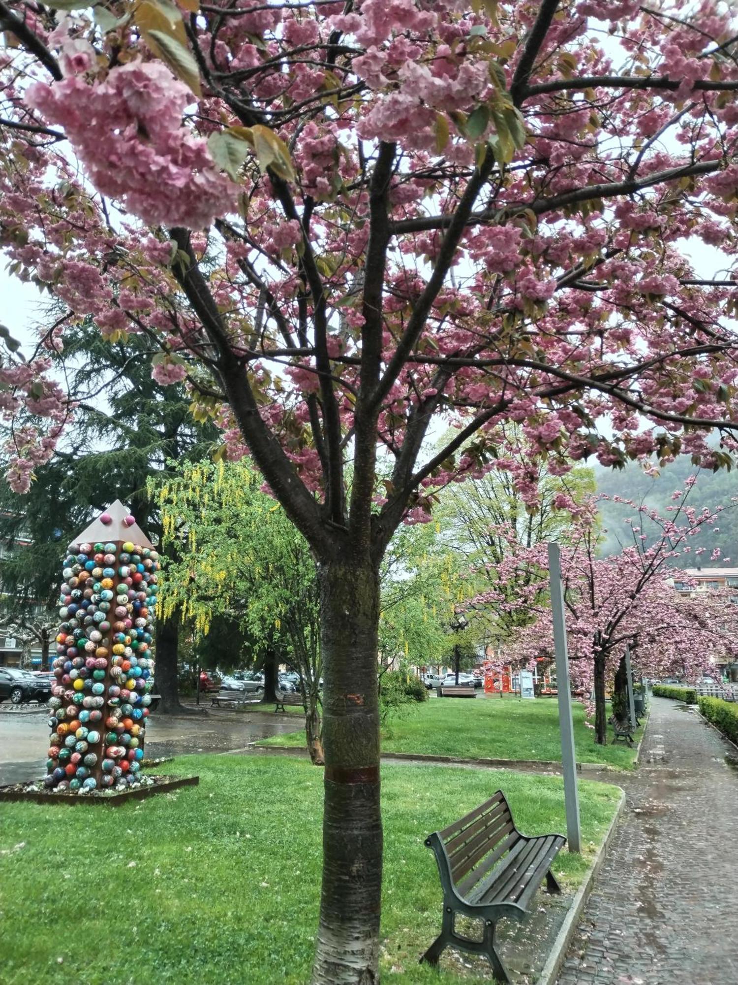 Un Balcone Sul Lago オメーニャ エクステリア 写真