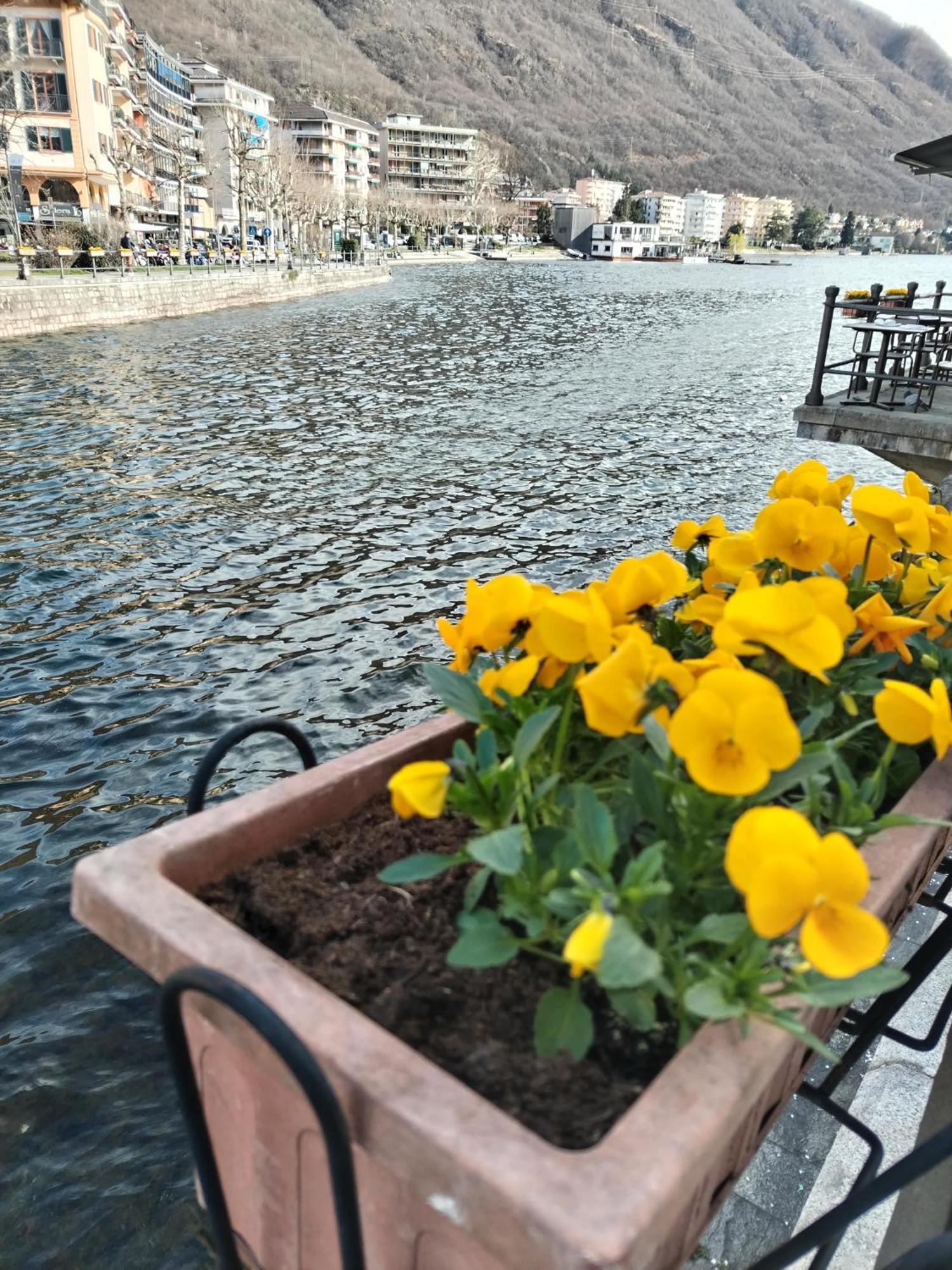 Un Balcone Sul Lago オメーニャ エクステリア 写真